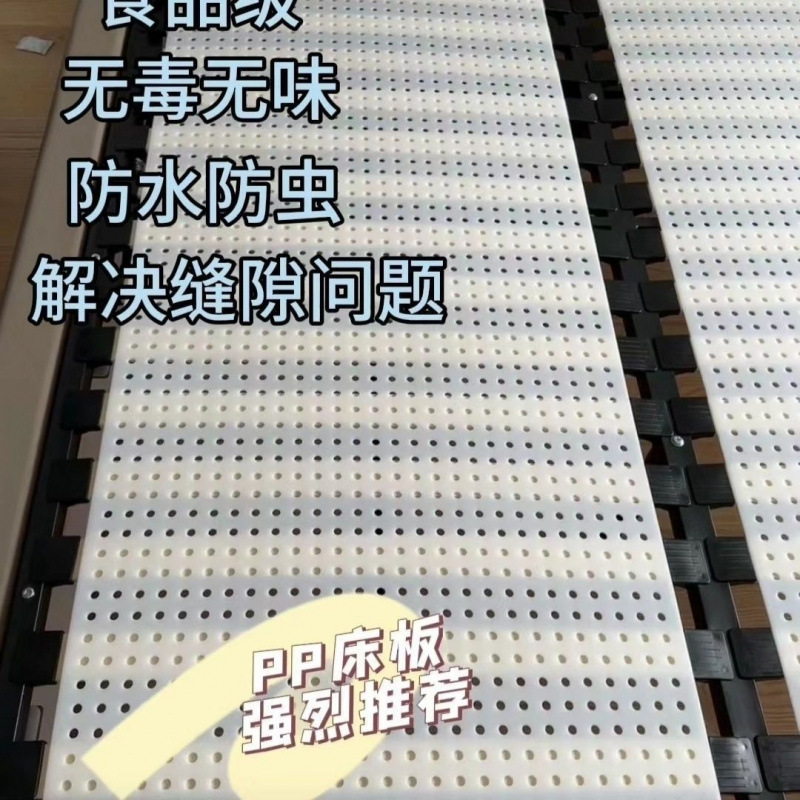 Encrypted Hole Silent Mattress Slatted Frame Breathable Bed Board Mattress Hole Food-Grade Pp Portable Mattress