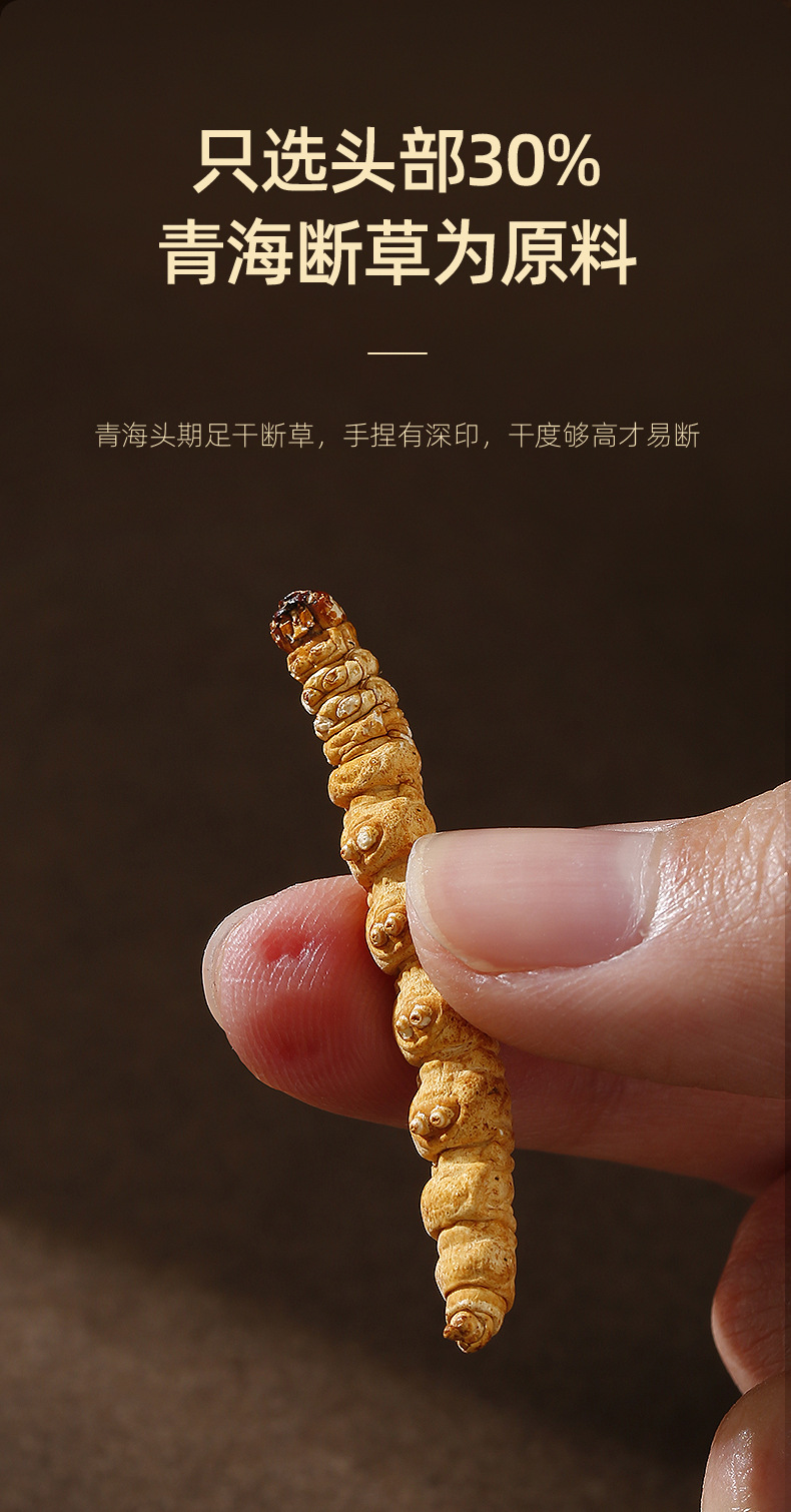 Dried Cordyceps Sinensis Broken Stems 10g Jar Qinghai Origin Whole Dried Cordyceps for Cooking key features