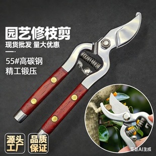 ˮ�������^ľ����@�ּ���֦�� ��ժˮ�����Ѽ�����֦��