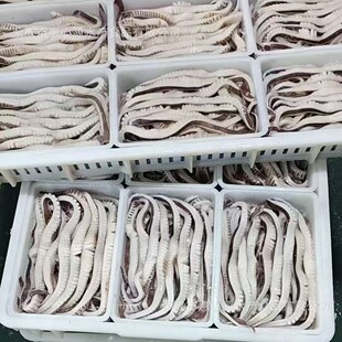 ���~������Ƶ��偟������Ʒ���ʳ���r���~�������~β�l