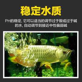 珊瑚砂沙珊瑚石珊瑚骨鱼缸过滤材料稳定水质PH底砂水族用品