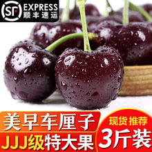 【现货顺丰】大连美早特大樱桃国产车厘子JJJJ级脆甜当季新鲜水果