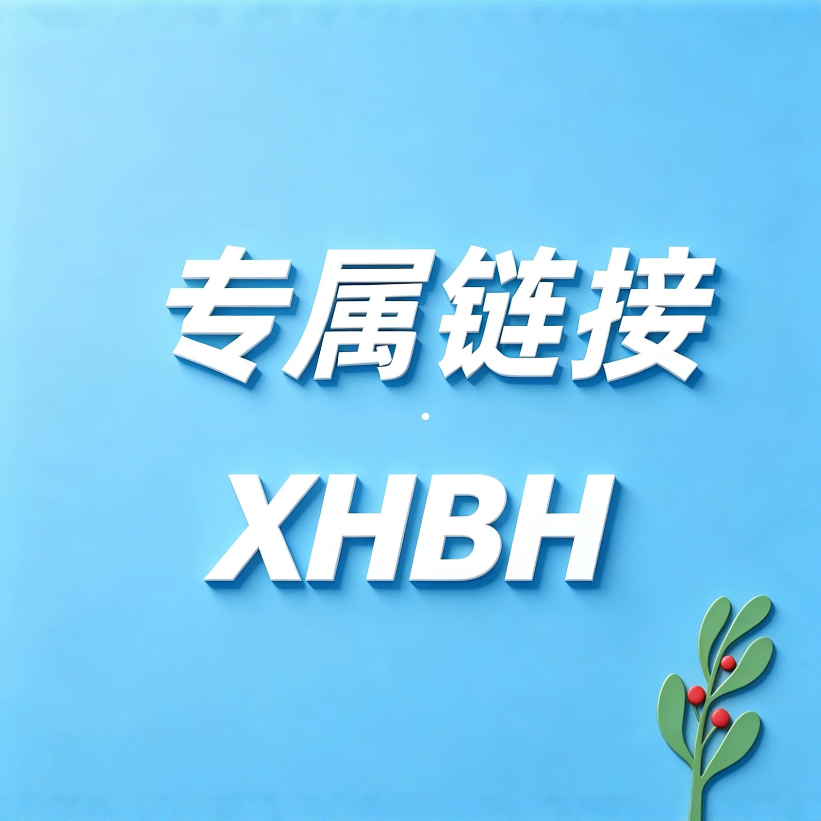 XHBH—专拍链接