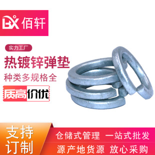 ����\���|Ȧ �o�̼��N��8.8�����ԉ|Ȧ ��܎�N�۟���\���|