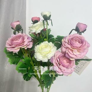 ��c���潁��3�^�ɏ���滨���͏d�҃Ȳ����[�O��c�����bz��