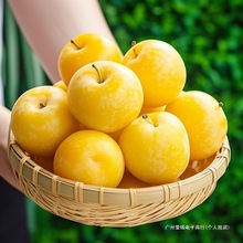 �SƤ����������������Ӯ������r�ЋDˮ������ڲ��������������