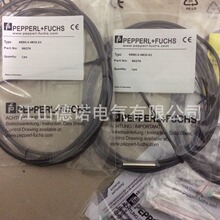 �h�rȫ���N�۵�P+F�ӽ��_�PNBN25-30GM50-A0-V1-M1�|��2��