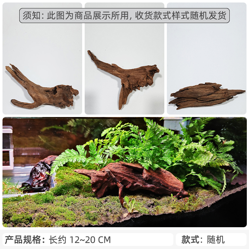 杜鵑の根、枝、エビ、南米の水槽の造園、紫文旦の流木、天然の木の切り株、サンデッキ、調理済みの小菖蒲|undefined
