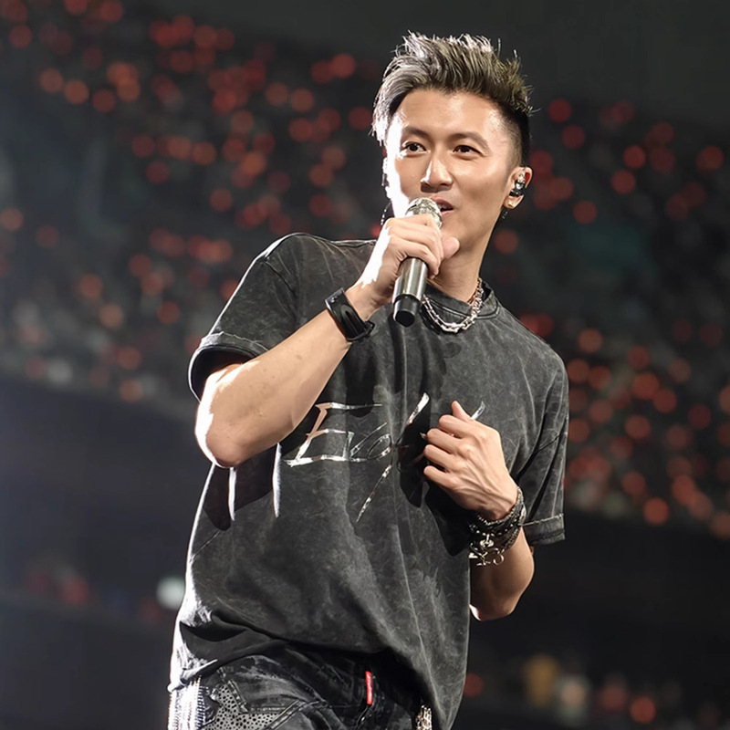 Nicholas Tse 2025 Evolution Concert Surrounding Short-sleeved T-shirt Washed Black Heavy Cotton Clothes for Men and Women