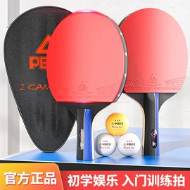 羽毛球拍;乒乓球拍;乒乓球