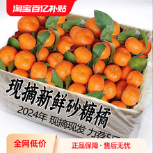 2024���ڏV��ɰ�������rˮ���۽���������ؕ�̬Fժ�F�l9����]SS