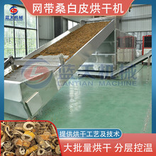 WʽɣƤəC Ԅ朰ɣƤO ɣƤșĺˮ