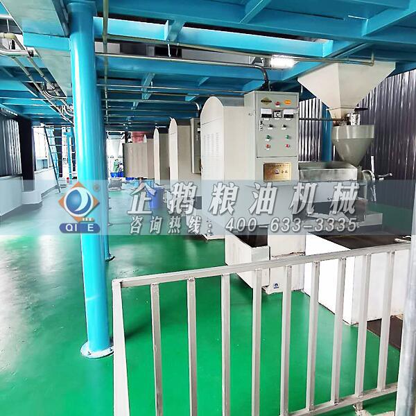 高油酸菜籽油加工设备，菜籽榨油机设备，菜籽浸出油精炼设备厂家