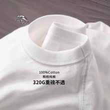 420g�ذ������L��t���ɼ�ɫ���°�ɫ�w��������ȴ����Ů��t