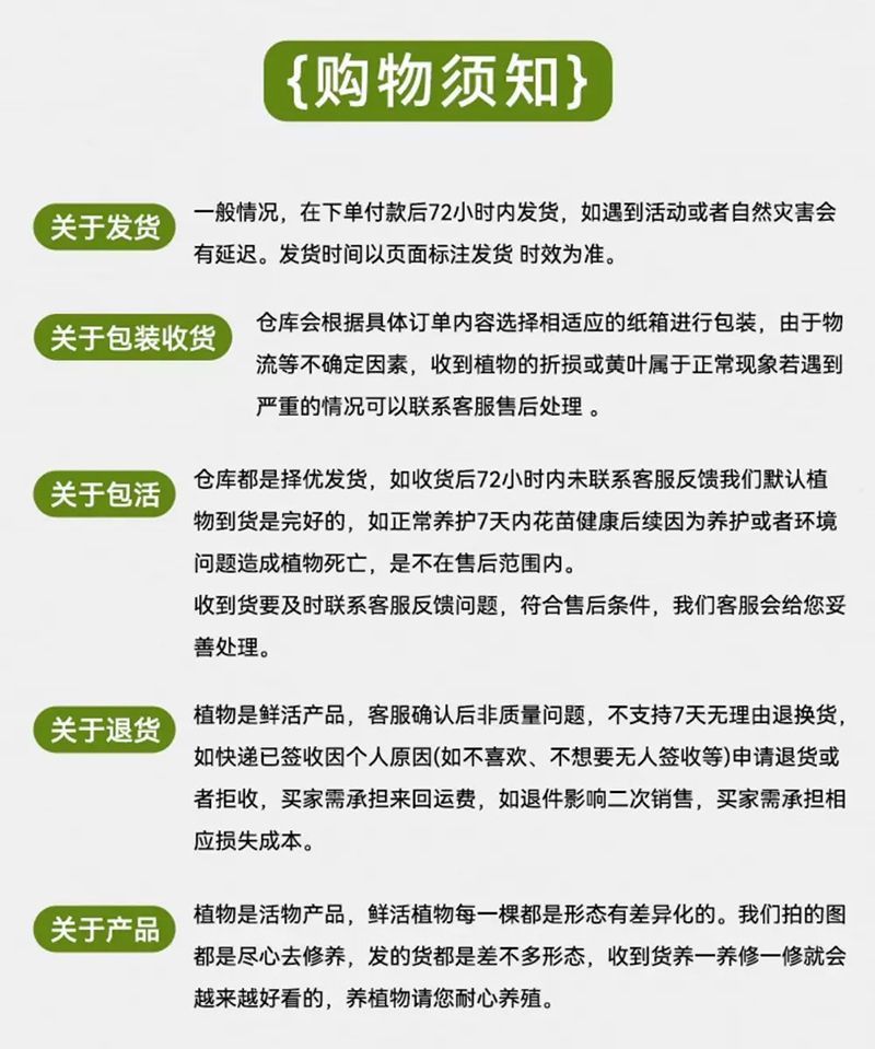 f8a63fd9-df42-4936-8422-9558cc4372a5.jpe