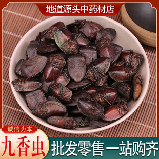 �����x Ұ���ڶ��x�����x��ƨ�xƨ���x�Ϻ�����ș�Ĵ�����x10��