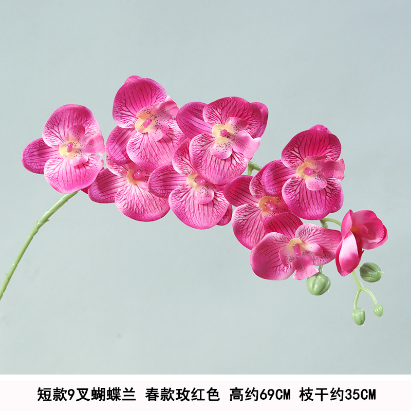 Short 9-pronged phalaenopsis spring style rose red
