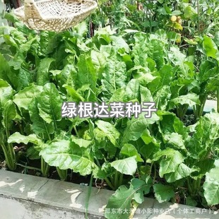 �G���_�����~�˷N�ӾG����ƤţƤ�˾G�~���˷N���̨ͥԺ�߲�