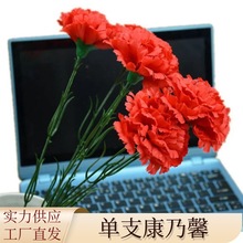 恒方仿真花跨境爆款假花母亲节教师节礼物单枝康乃馨厂家直销批发