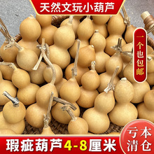 �����˃r�����S���l��ȻԭƤ������J覴ÿ��ְѼ��ֹ�����С���J