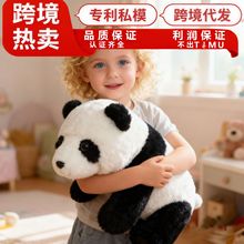 �羳����С��؈ë�q��߾��c�̳�ͬ����ż�������޹Ǽ���؈���S