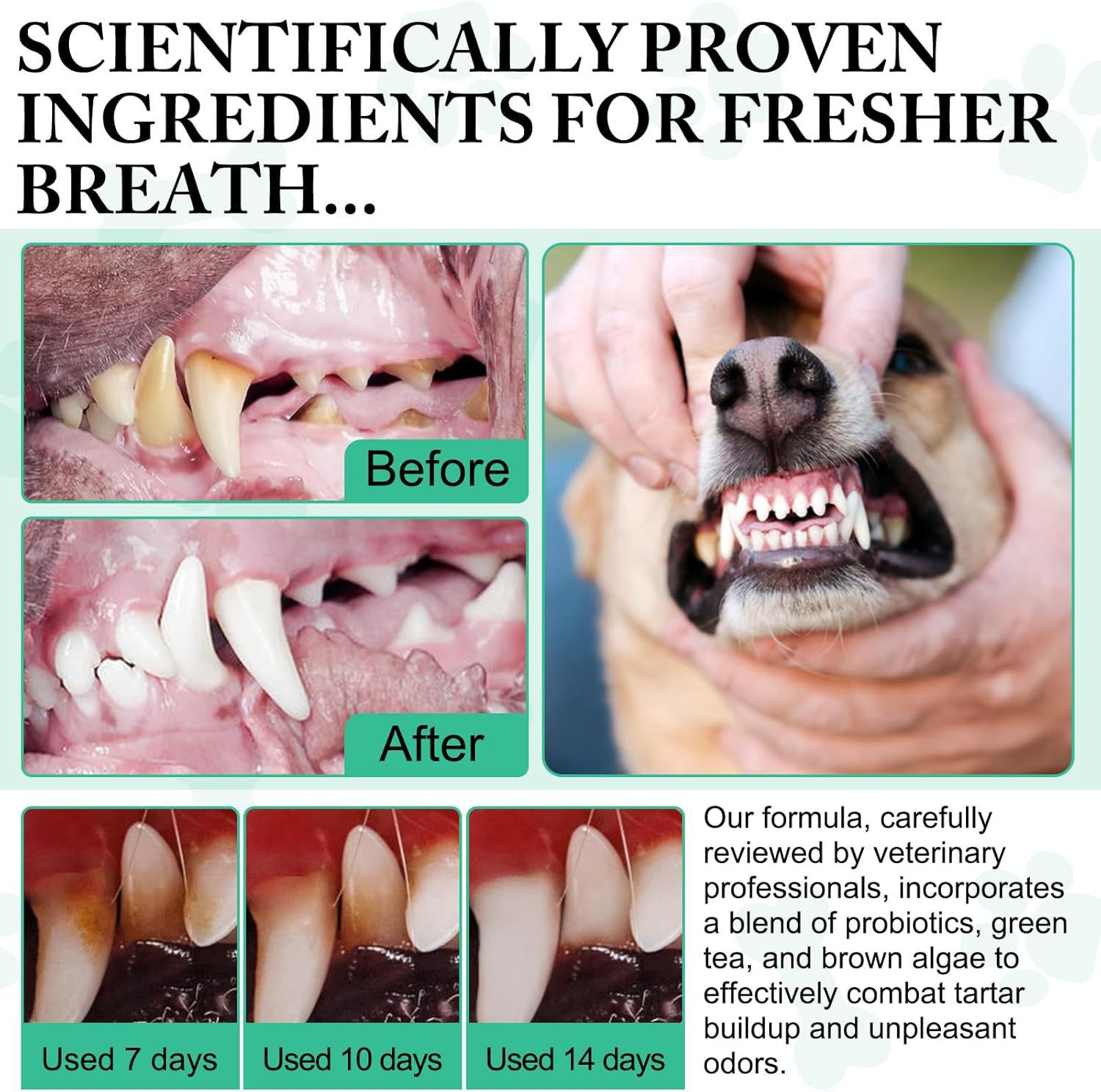 Порошок для чистки зубов домашних животных Pet Dental Cleaning Powder