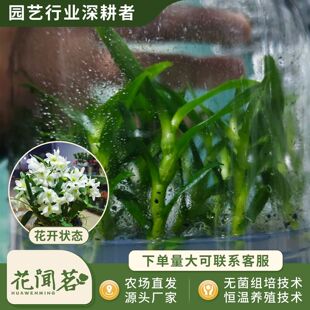 ��ʯ�� 3066�ڴ�����ƿ���׳ɻ�M��С�� �҃������Ի�������r��