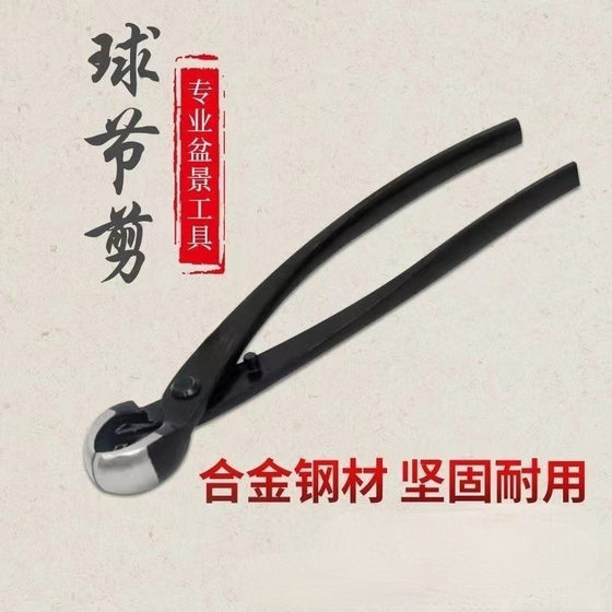 Professional gardening modeling maintenance tools bonsai ball joint cutting round mouth pliers potted tree tumor tree joint trimming pliers gardening