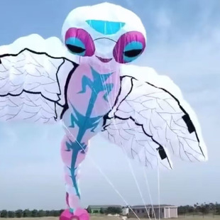 9������ܛ�w�L�~ ��� 40D�����㲼ܛ�w�L�~ ���Ɇ��w