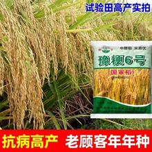 ��������ˮ���N�Ӹ߮a��Ҏ���|���יC���岥�����������طNֲ���N