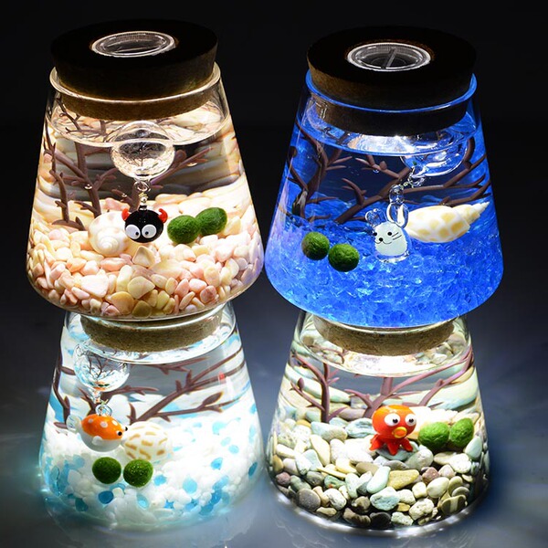 Ecological bottle high borosilized hydroponic plant micro -landscape…