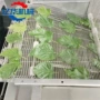 油炸香酥桑叶天妇罗上浆机