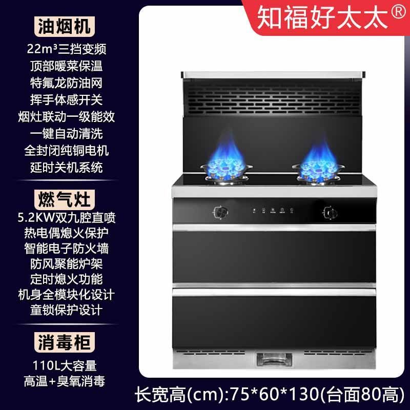 파이프 천연가스 [공장 직배송, 택배] - 750캐비닛 [럭셔리모델 + 9챔버 맹렬파이어]