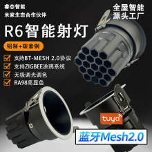 万分级调光调色天花板灯蓝牙mesh2.0深杯防眩全光谱米家智能射灯