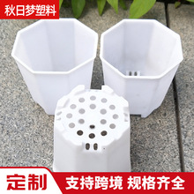 ���Ƅ�����⻨�����ϰ˽���ֲ�ﻨ������С����羳����͸�⻨��