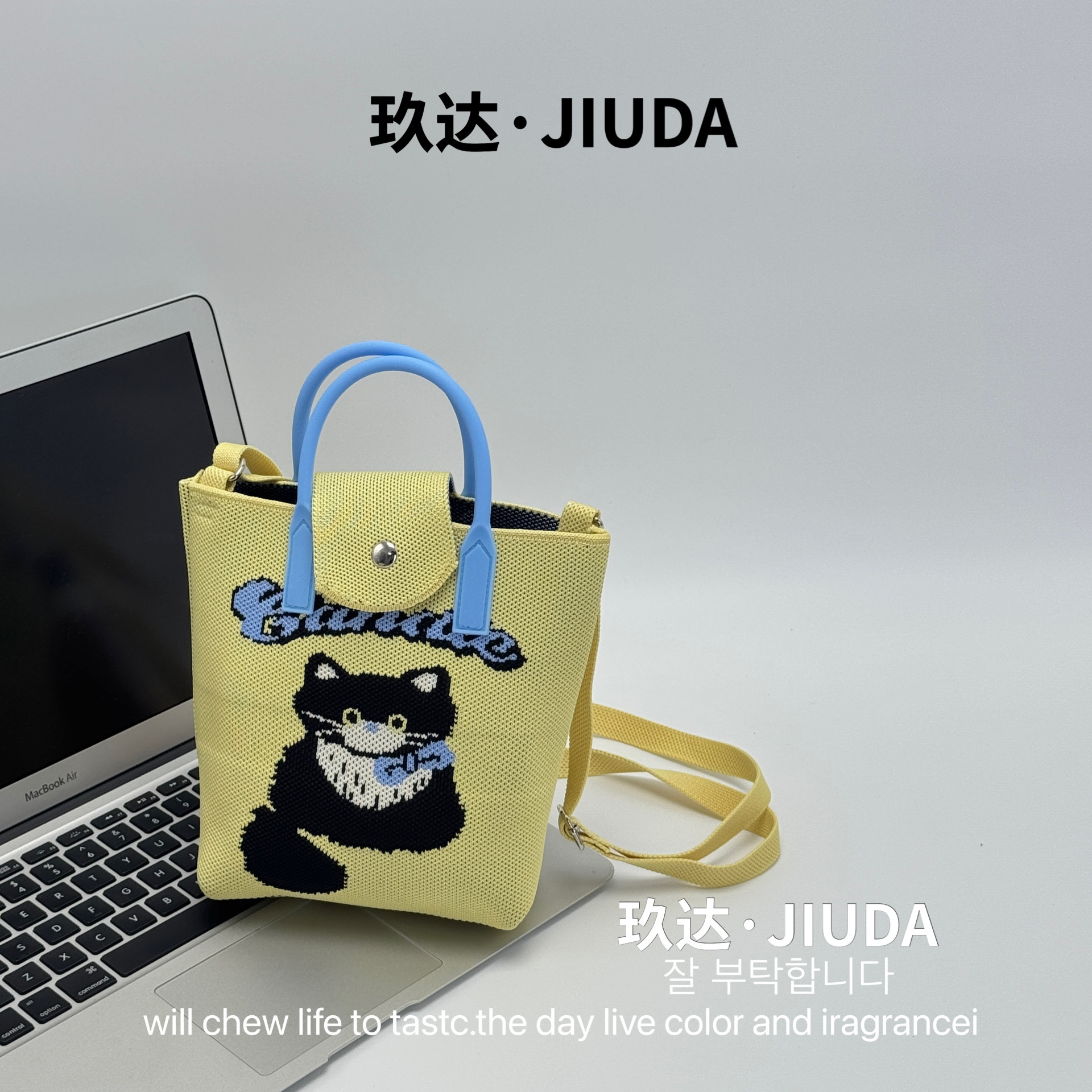 E-13 노란 고양이