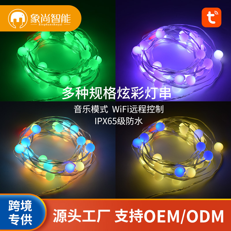 智能蓝牙USB遥控灯串 铜线灯串装饰灯串跨境