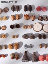 植物耳环天然干果南瓜DIY耳饰材料个性创意耳钉配件装饰材料果子