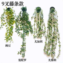 �ٻ��羳����Gֲ�����_�ȼ��������~�������ԑҒ�ֲ���b��辰