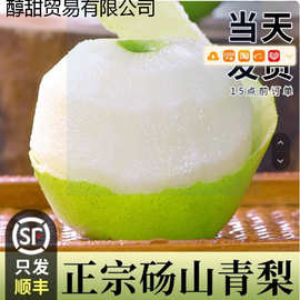 梨都砀山梨子翠冠梨当季水果新鲜9斤皮青梨皇酥梨整箱应香梨