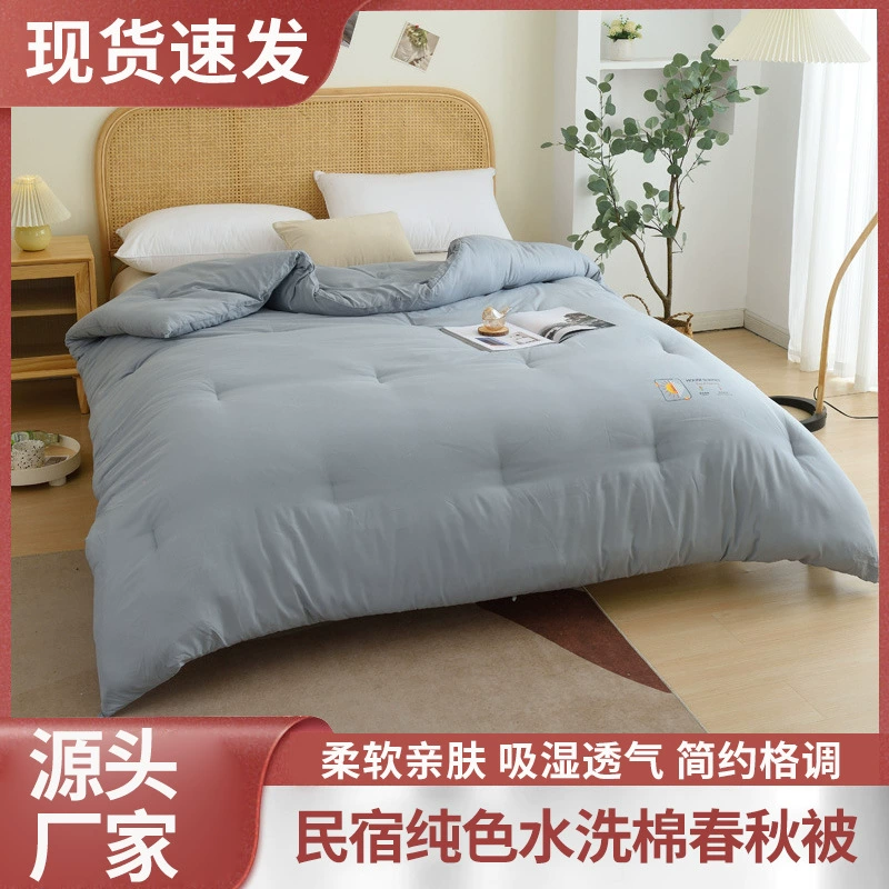 Отель Four Seasons Универсальное Одеяло Проживание в семье Сплошной цвет Промытое хлопковое весенне-осеннее одеяло Перо Шелк Хлопок Студенческое общежитие Зимнее одеяло
