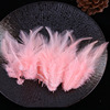 Wholesale 4-6 white-pointed feathers color feathers DIY handmade jewelry craftsmanship dream network clothing decoration material