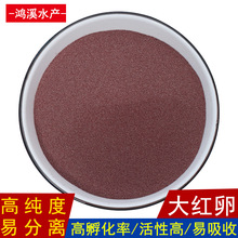 ��Ϫ��t�Ѳ��ѿɷ����S���r���u�x���߲ʿ�ȸ�~�Z�~���_�����