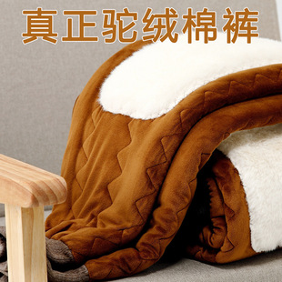 ���ɹŖ|����ëѝ�Ӻ�ӽq�q��ѝ�������������ůѝ��qѝŮ��