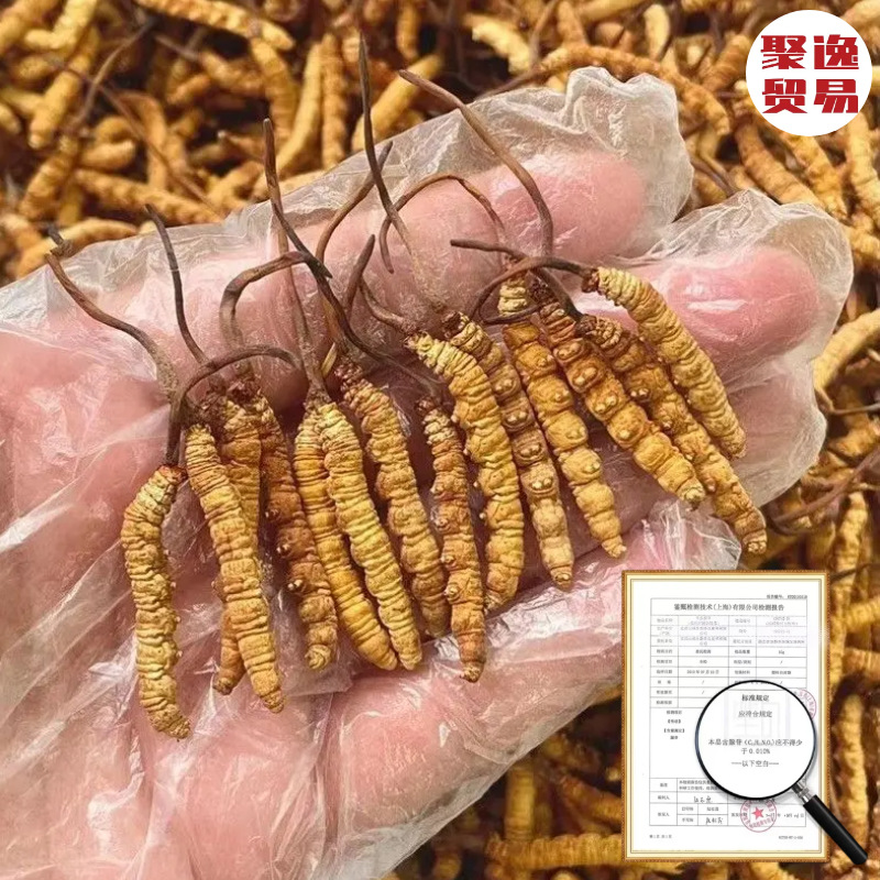 图怪兽_65259c536c72dc033fd45a429c