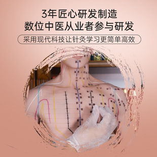 �����}81cmᘾ�Ѩλ���wģ��ᘾ��~��ģ�ش�ߴ���zСƤ�˿����