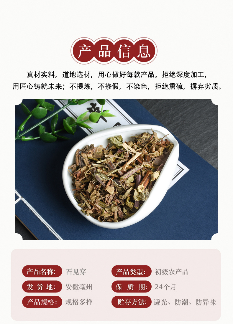 Shi Jian Chuan (Salvia chinensis) — Dried Chinese Herb, Unsulfured, 500g key features