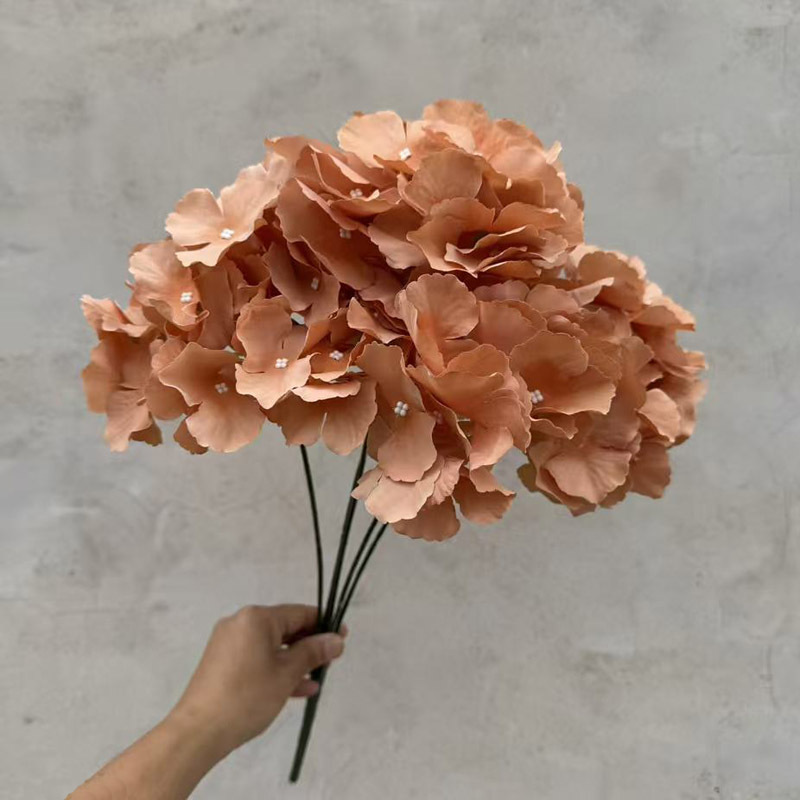 Hortensia à 5 têtes