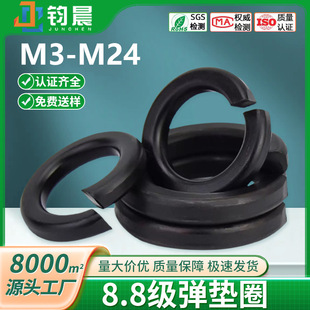 8.8���ߏ��Ȱl�ڏ��|�_�ڏ��ɉ|Ȧ̼���{���\���ɉ|ƬM3M24