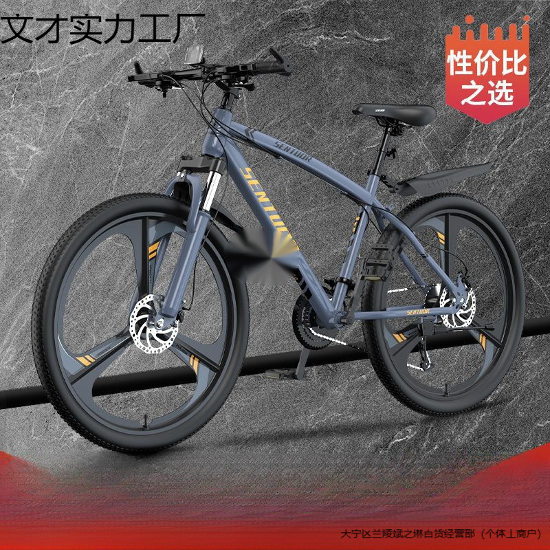 Mountain Bike Bicycle Adult Off-Road Men's and Women's Lightweight Road Variable Speed Racing Student